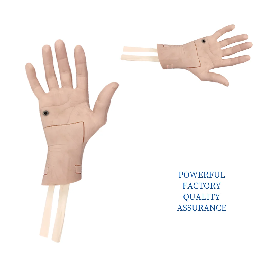 Wrist Arthroscopy Model Medical Science Wrist Joint Injury Simulator Teaching Material for Medico Surgical Operation Explanation