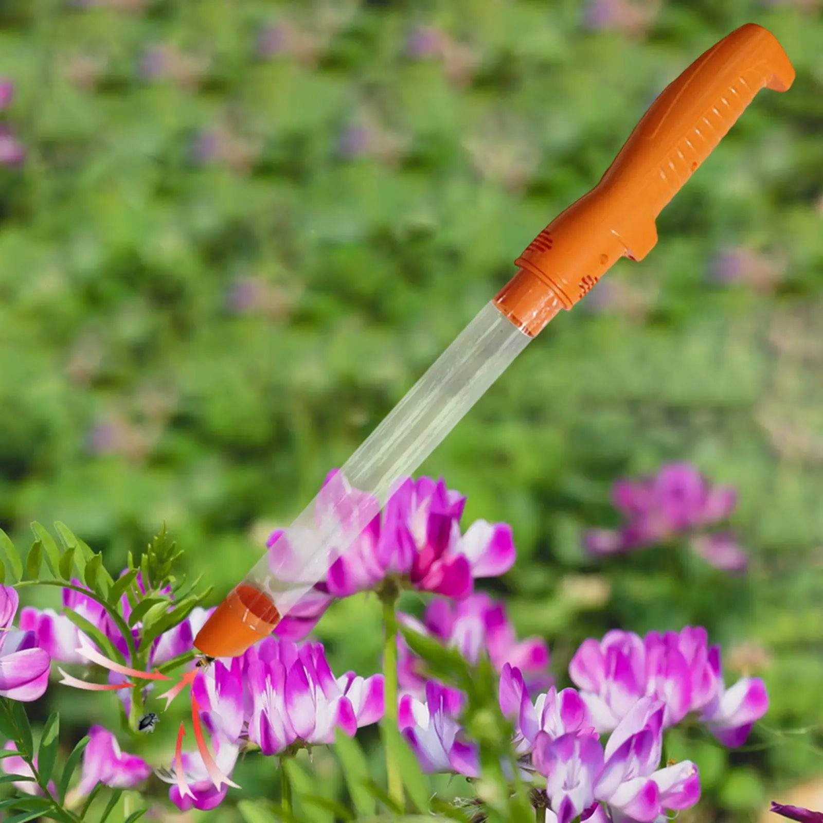 

Worm Catcher Humanization Design Suction for Garden Adults and Kids Office