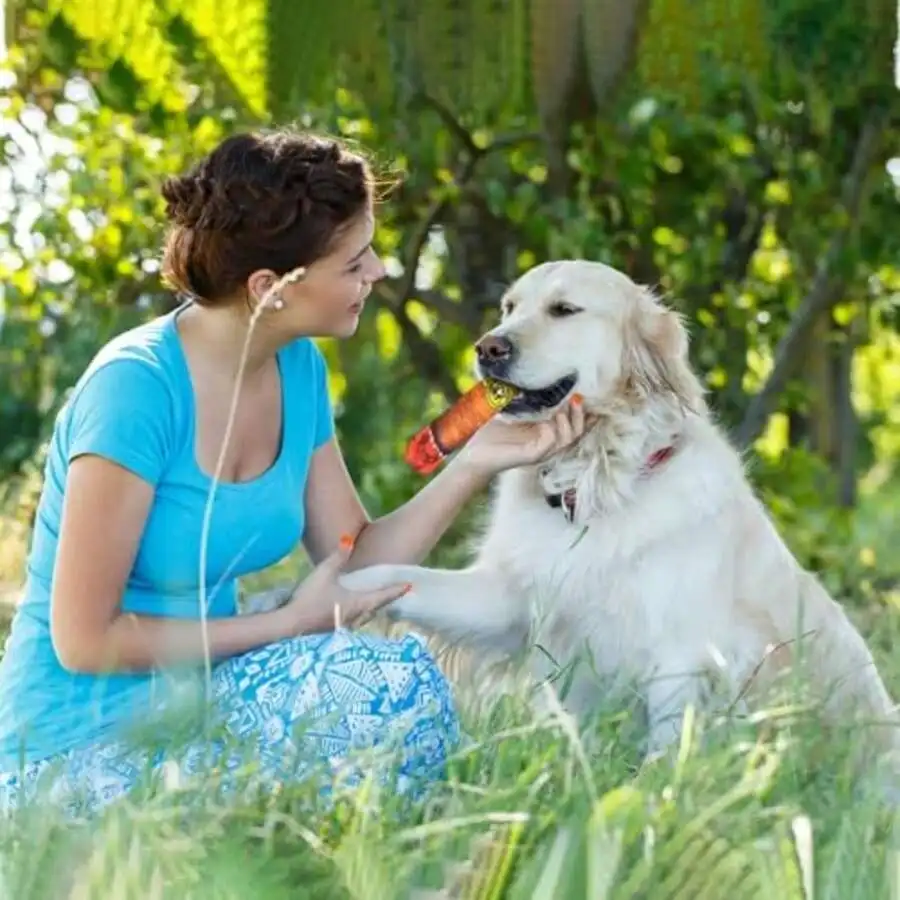 Flexible Cigar Chew Toy - Won’t Hurt Mouth, Great for Training & Reducing Destructive Behavior