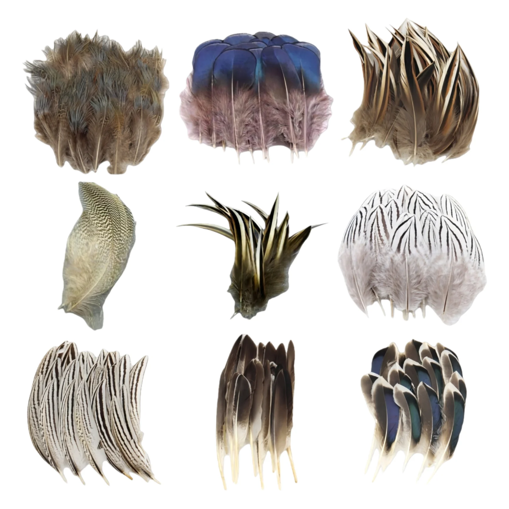 

50/100PCSNatural Peacock Goose duck Pheasant Feather Decor Small Feather for Craft DIY Handicraft Accessories Jewelry Decoration