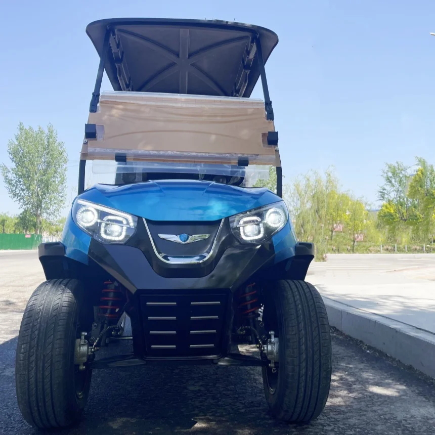 

Brand New Low Price New 2 Seater Electric Golf Cart Foldable Rear Seat Built-In Storage Box Touch Screen Multi - Media Golf Cart