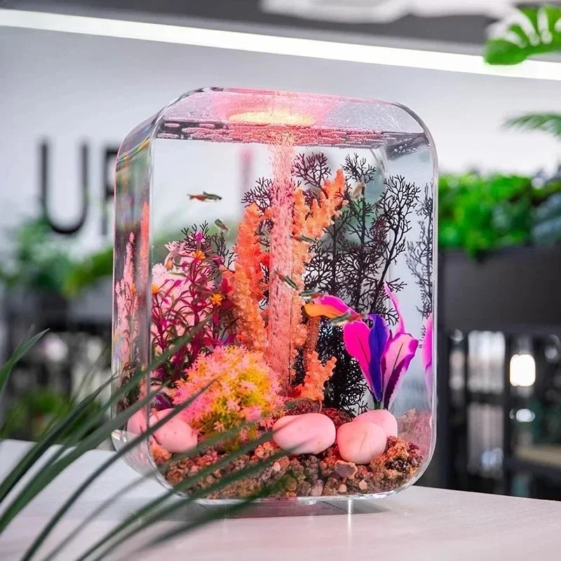 Y feature aquarium creative desktop landscaping ornament New cylindrical small fish tank living room art water