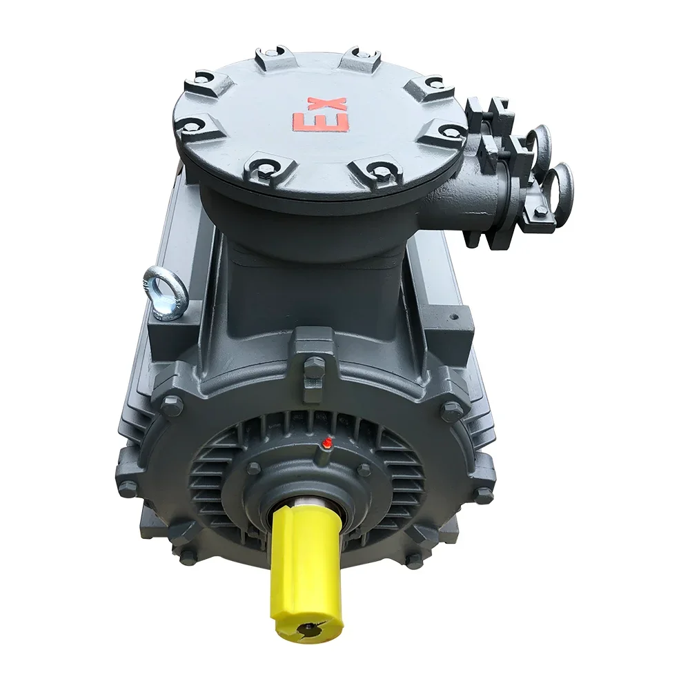 Three Phase Electric AC Induction Squirrel-Cage Flameproof Explosion Proof Motor