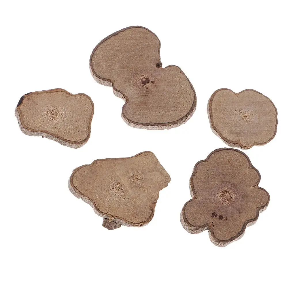 Log Wood Slices Wooden Creativity Blocks Versatile Craft Pieces for Innovative Gifts Children Wood Toys and Festive Decorating