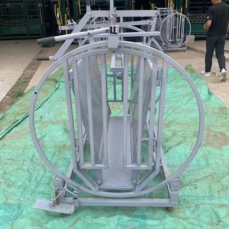 Heavy Duty Livestock Restraint Chute Galvanized Steel with Fork Pockets for Easy Moving