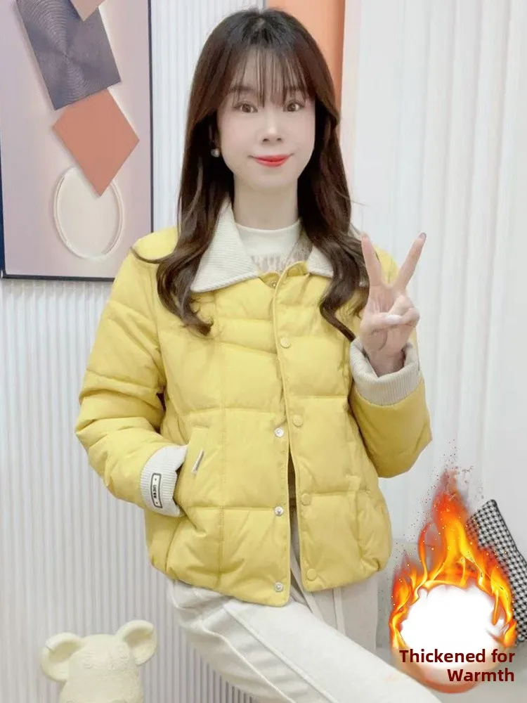 여성용 안감이 있는 티엔드 다운 코튼 재킷 겨울 신상품 소형 사이즈 패셔너블 따뜻한 독특한 작은 코튼 코트 아웃...
