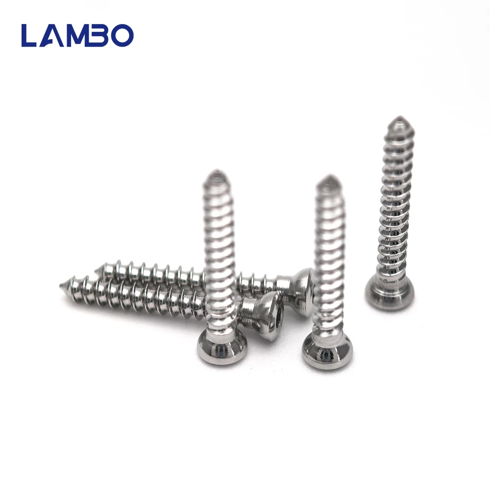 10개 수의학용 3.5mm SS 셀프 태핑 육각형 피질 나사 수의 정형외과 임플란트 수술기구 애완동물 제품