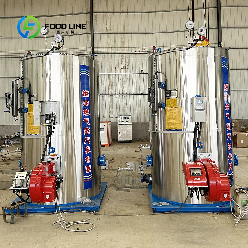 Customizable Vertical Fire Tube Steam Generator 600kg 800kg 1000kg Natural Gas Energy Efficient Quick Start for Beverage Plant