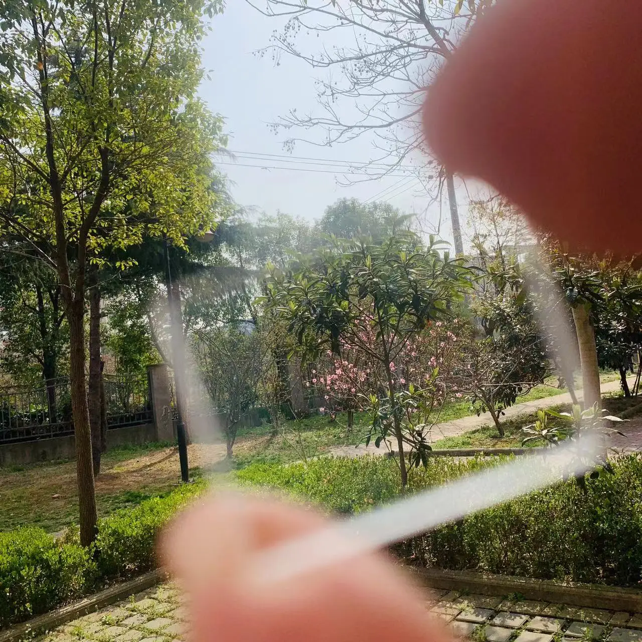thumb