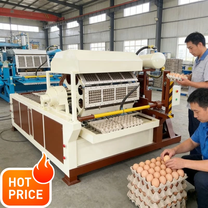 Egg Tray Production Line Pulp Molding Waste Paper Recycling System Forming Machine Egg Packaging Farm Industrial Use Customized