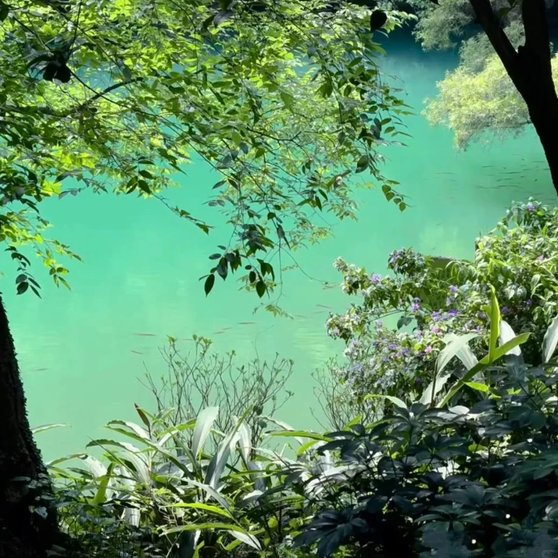 

GEPRC EM3215 900KV Brushless Motor - 9/10 Inch Fit Long Range FPV RC Models DIY Build Parts