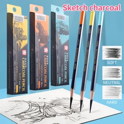 SAKURA 1/2/3Pcs Professione del Carbone di legna Della Matita di Legno Set Schizzo Tavolo Da Disegno Morbido/Medio/Hard Matite di Legno Artista Studente Rifornimenti di Arte