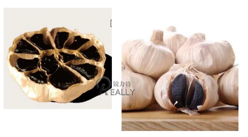 Preço da máquina de fermentação de alho fresco fermentador de alho preto com controle de temperatura Automati