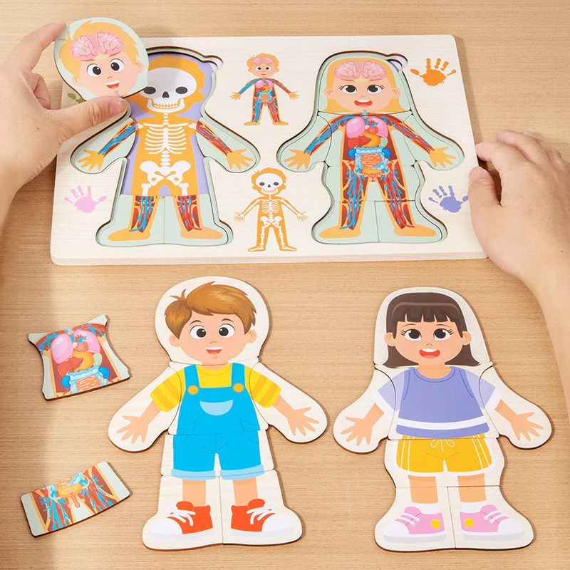 Human Body Puzzle - Kinderen Menselijke Lichaamsstructuur Puzzel Montessori Houten