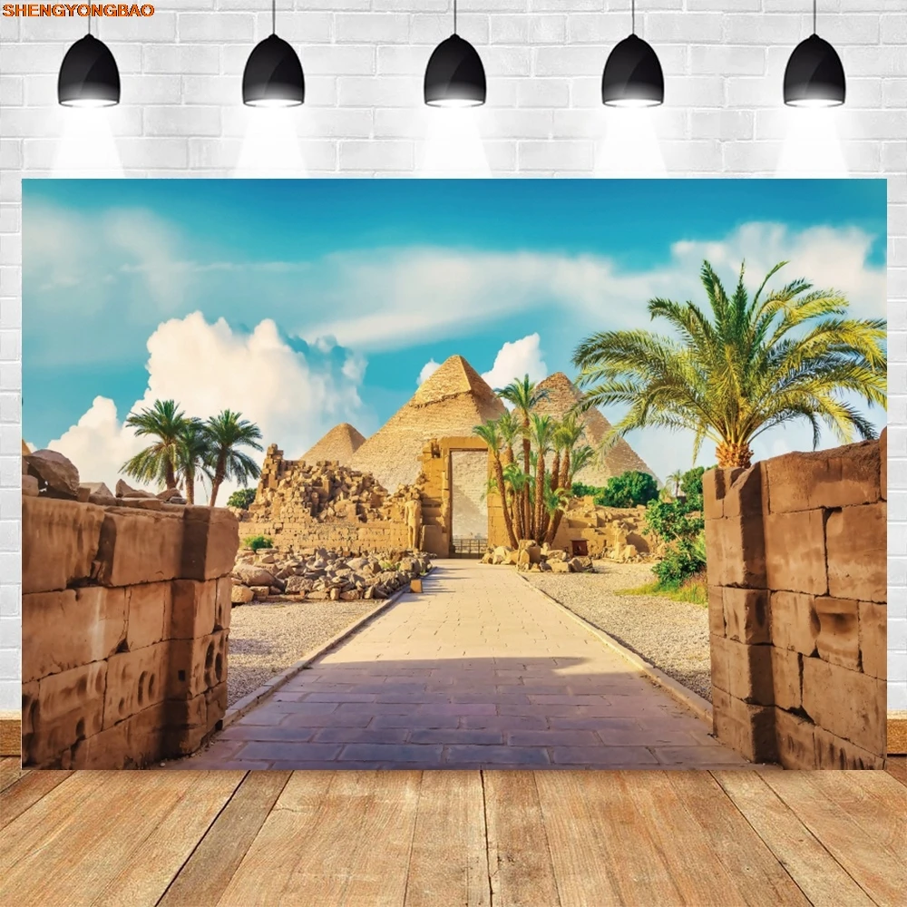 Египетские пирамиды фон Египет Древняя архитектура Руины Сфинкс пустыня небо облака взрослые детский портретный фон для фотосъемки