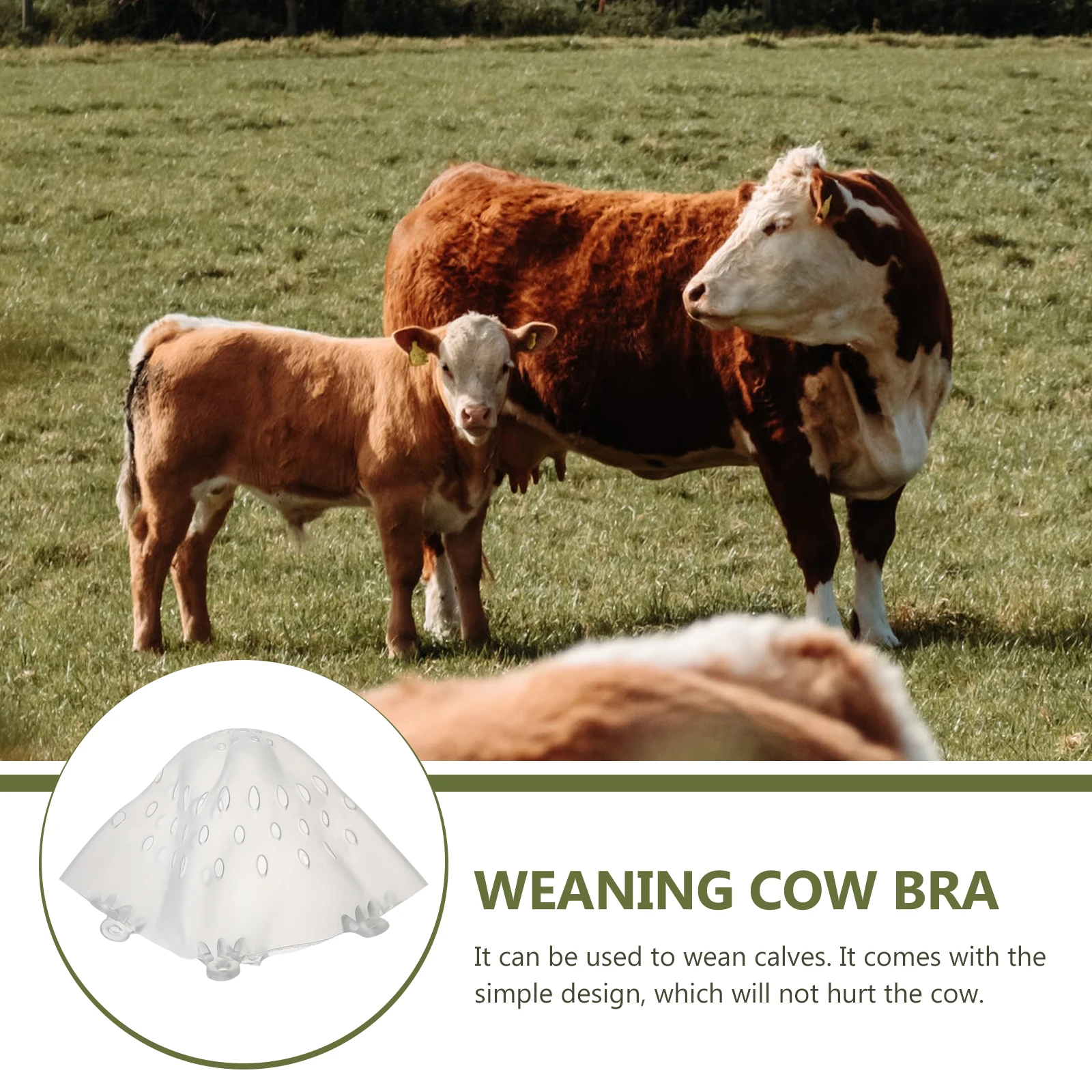 

Cow Breast Cover Cattle Weaner White Abs Durable Sturdy Lightweight Practical Farm Accessory Livestock Equipment Pet Supplies