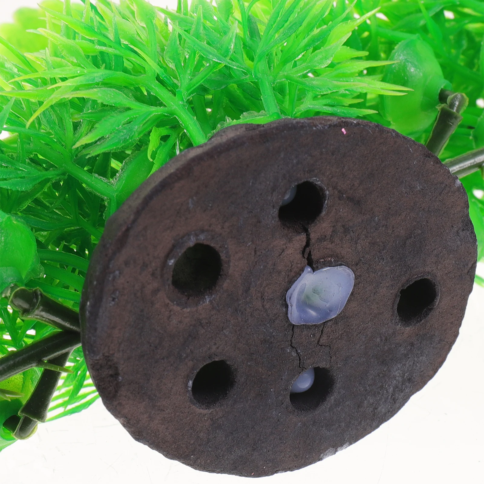 

Artificial Plastic Aquarium Plants For Fish Tank Decor Live-Like Reptile Terrarium Landscape Fake Grass Durable