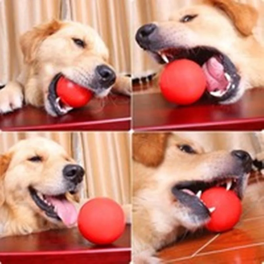 Pet Rubber Solid Ball Dog Training Bouncy Molar Ball Anti-bite Ball Non-toxic Chew Toy Pet Supplies