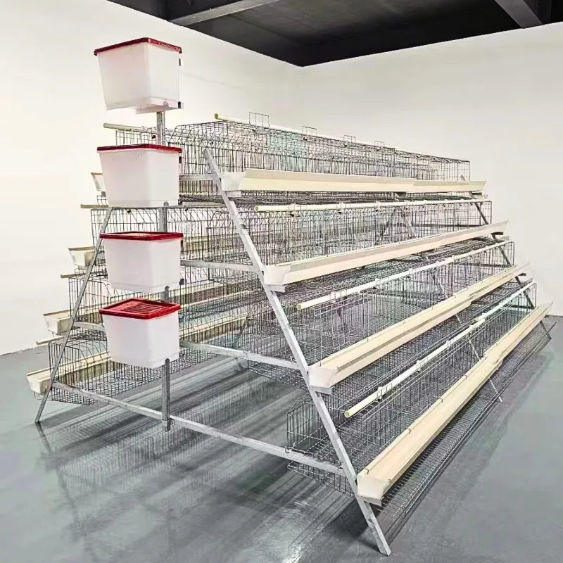  chicken coop High Strength Galvanized a Type Layer Chicken Cage 500 Birds with Auto Feeding Line