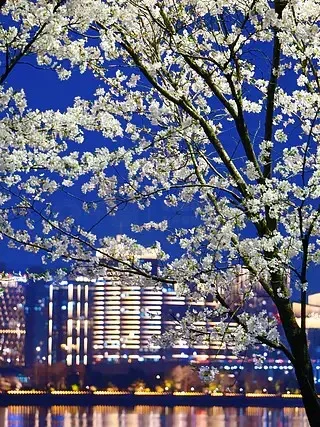 

Aluminum Chassis Frame Kit for Tamiya CW-01 Midnight Pumpkin Upgrades