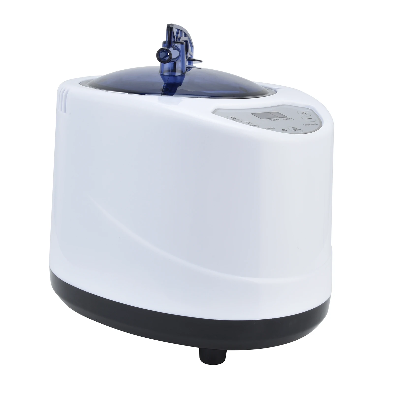 1000W Sauna Steamer Pot Machine Portable Sauna Steam Generator Fumigation Machine for Home Spa
