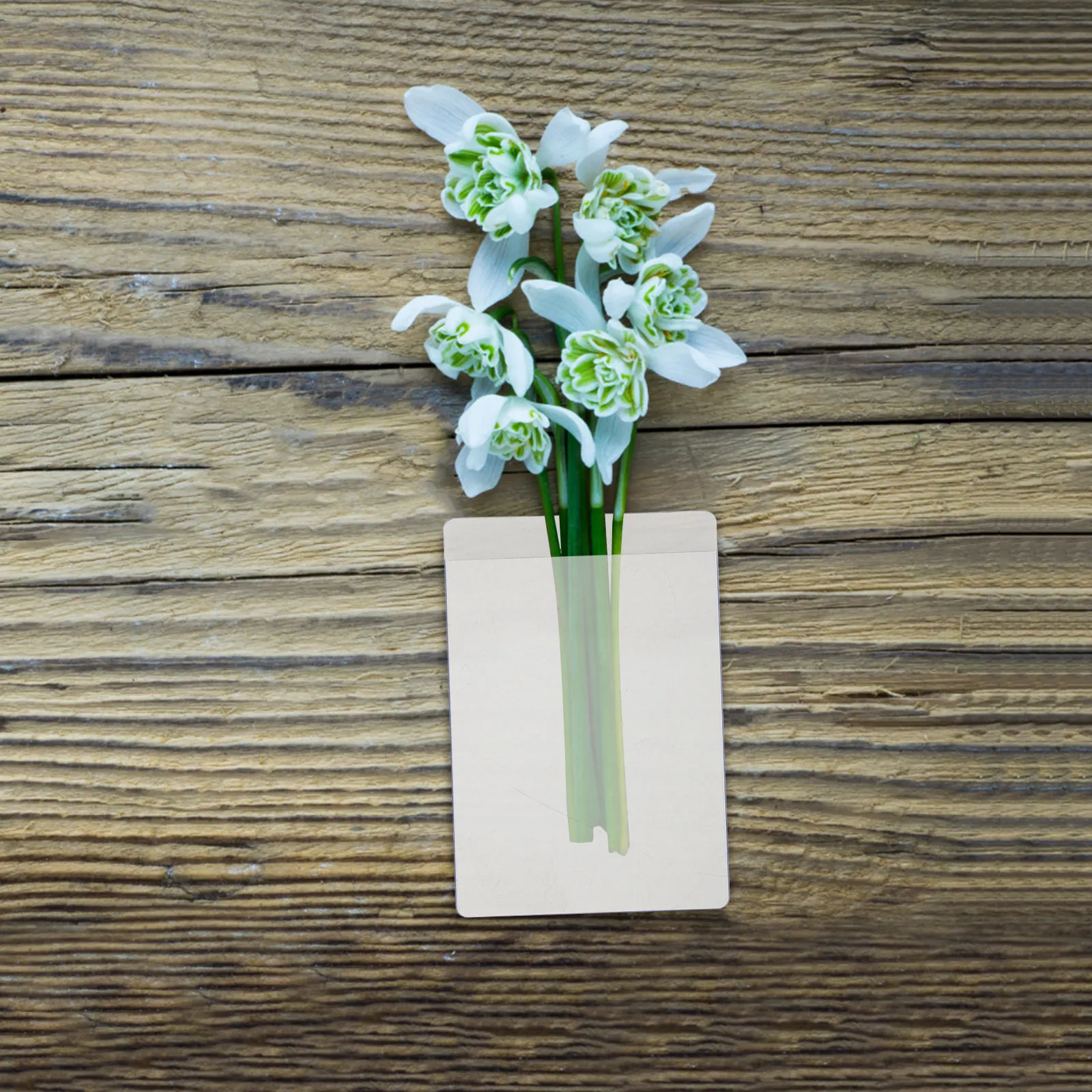 

24 шт. прозрачных пластиковых чехлов для цветов, для бутоньерок, для карманных платков, защитные чехлы для цветов на грудь, для свадьбы, для жениха