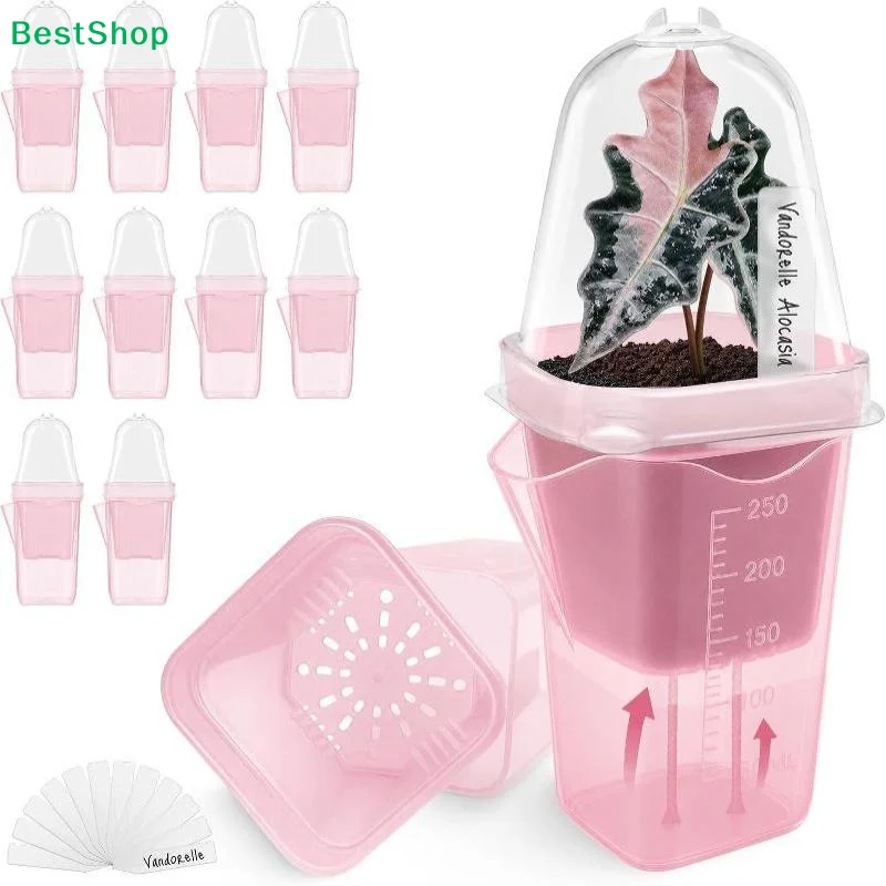 Self-Watering Planter - Transparent Pink Self Watering Pots Self
