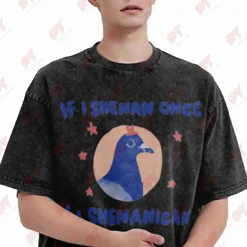 If I Shenan Once I'll Shenanigan Pigeon Vintage Washed Tee Pure Cotton T-Shirt