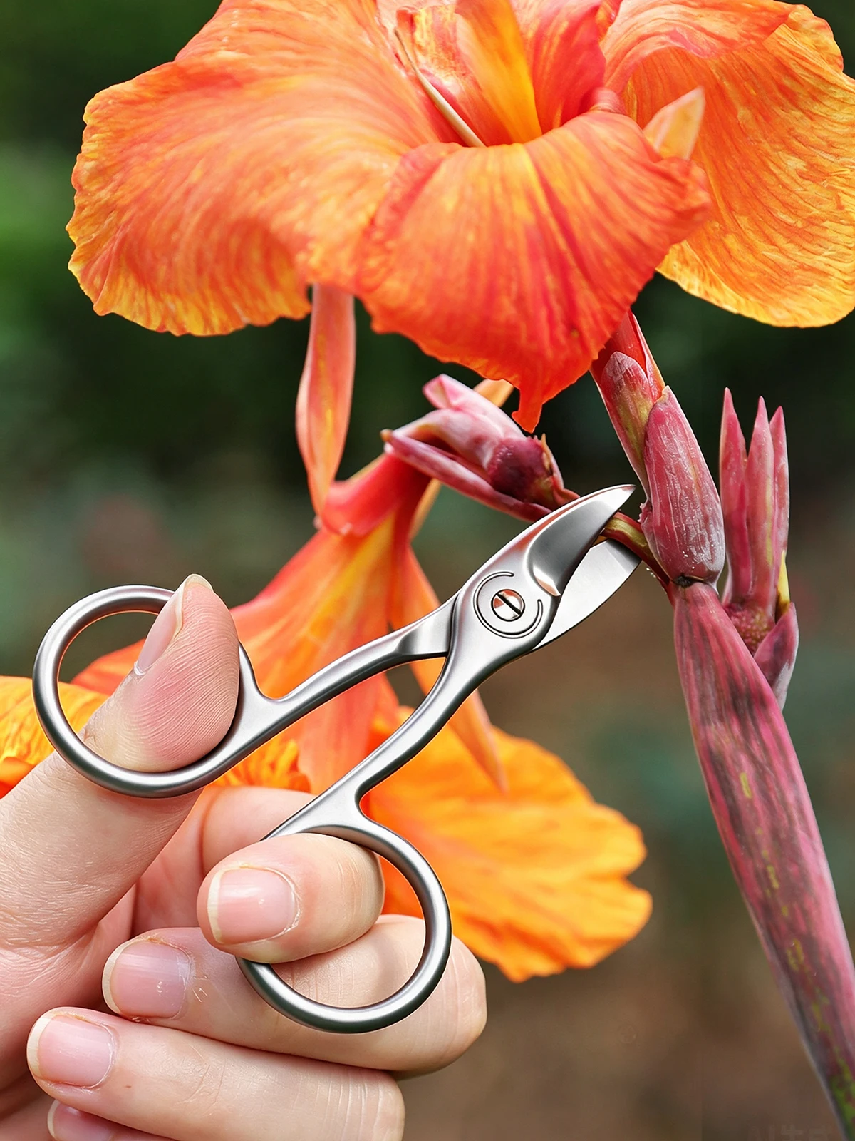Bonsai-Schere aus Edelstahl, Mini-Gartenschere für Sukkulenten, Blumenarrangements, Gartenpflege-Handwerkzeuge – Detail 5