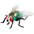 fly