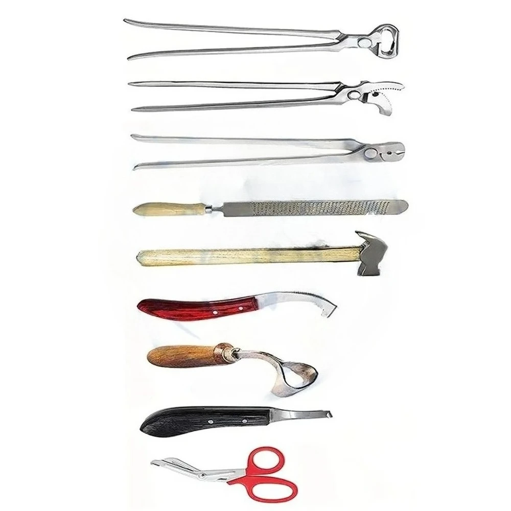 Profesjonalny 8-częściowy zestaw narzędzi do pielęgnacji kopyt końskich z szczypcami w skórzanej torbie, standard niemiecki, marka DADDY D PRO