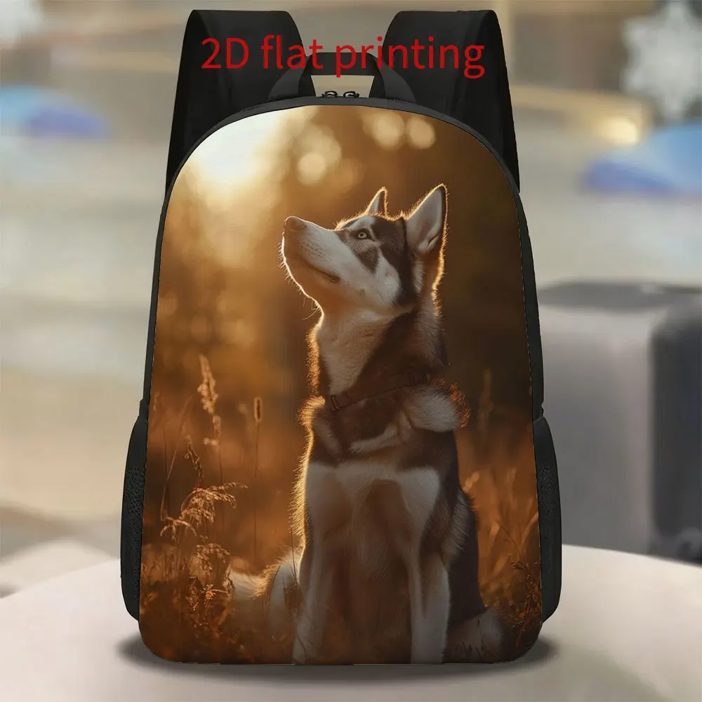 

1 Husky staring at a backpack at sunset | Cute and lightweight, large capacity, adjustable shoulder strap, zipper closure