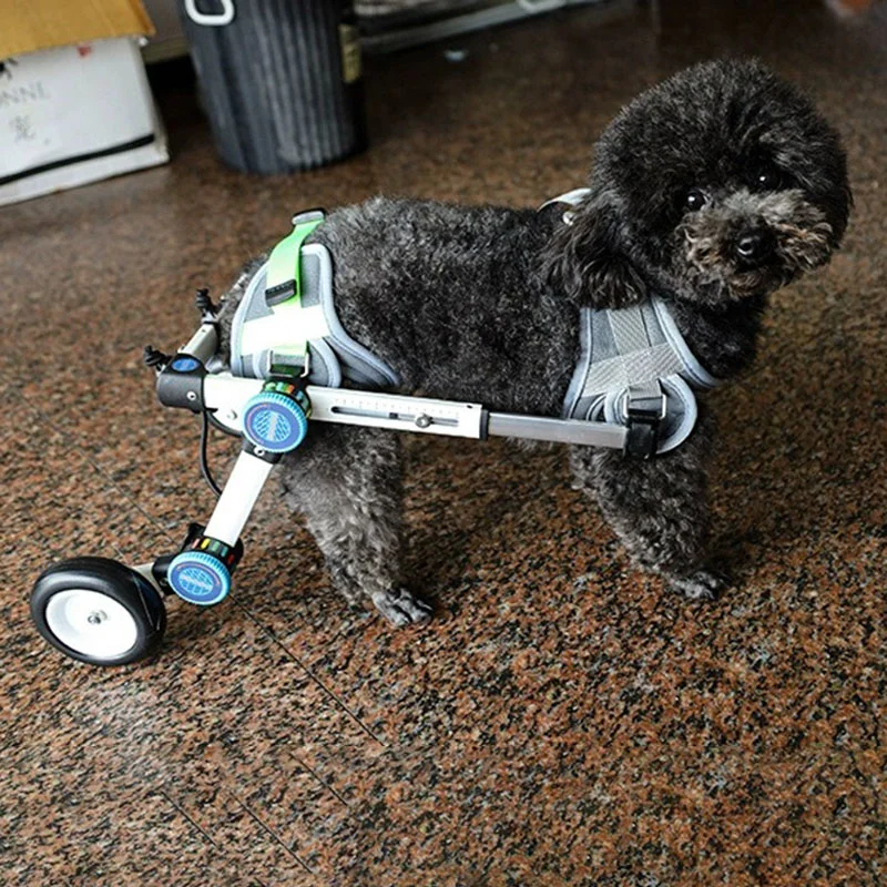 Foldable Dog Wheelchair Backlegs Adjustable Lightweight Dog Wheelchair Hind Limb Rehabilitation Training Wheelchairs Pet Assist