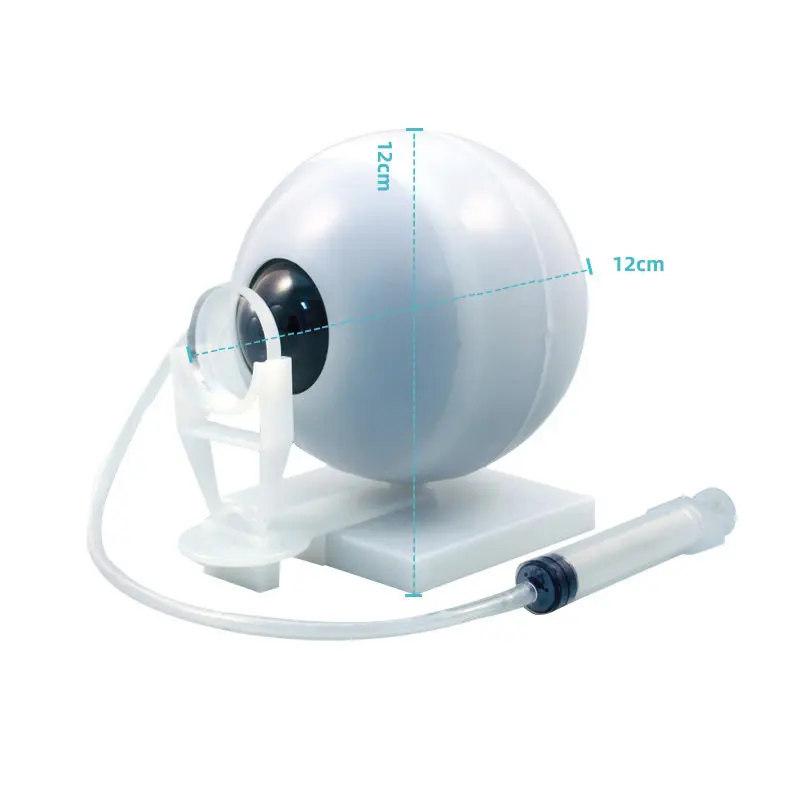 Bionic Eye Assembly Model Human Eyeball Internal Structure Imaging Principle Science Popularization DIY Kit