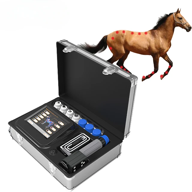 

Veterinary Horse Use Radial Focused Electromagnetic Shockwave Therapy Machine