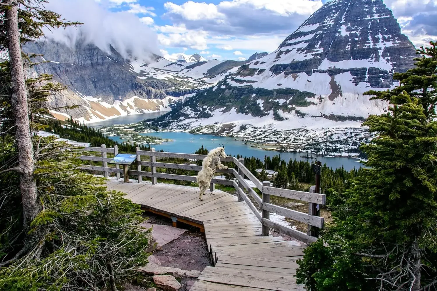 

Landscape Series Adult Wooden Puzzle 1000/500/300 Pcs Jigsaw Puzzles for Gameroom Bedroom Livingroom Party Birthday Gift Game