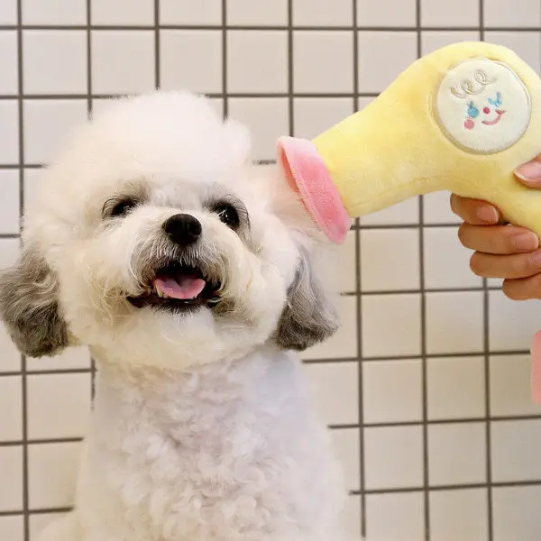 Serie popular coreana de artículos para el hogar: lavadora, plancha, secador de pelo, productos para mascotas, artículos de comercio exterior, comida tibetana, juguetes para perros