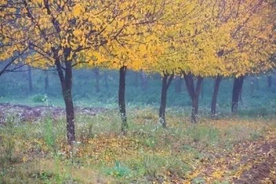 4 szt. 68mm Piankowe Opony Gąbkowe Zestaw Felg do Wltoys 144001 124016 124017 124018 124019 104001 Części Zamienne do Tuningu Samochodów RC