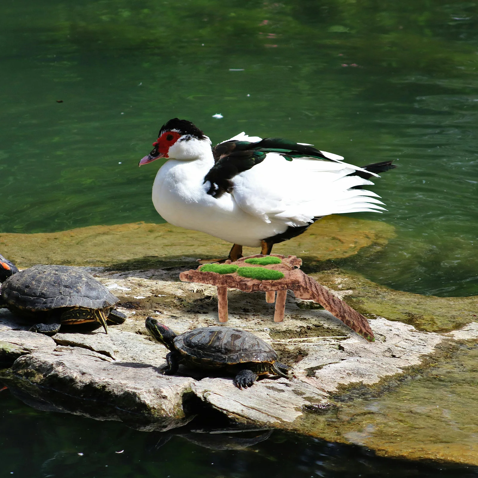 

Resin Turtle Platform Basking Platform For Reptiles Aquatic Turtle Tank Accessories Fish Tank Decor Tortoise Habitat Supplies