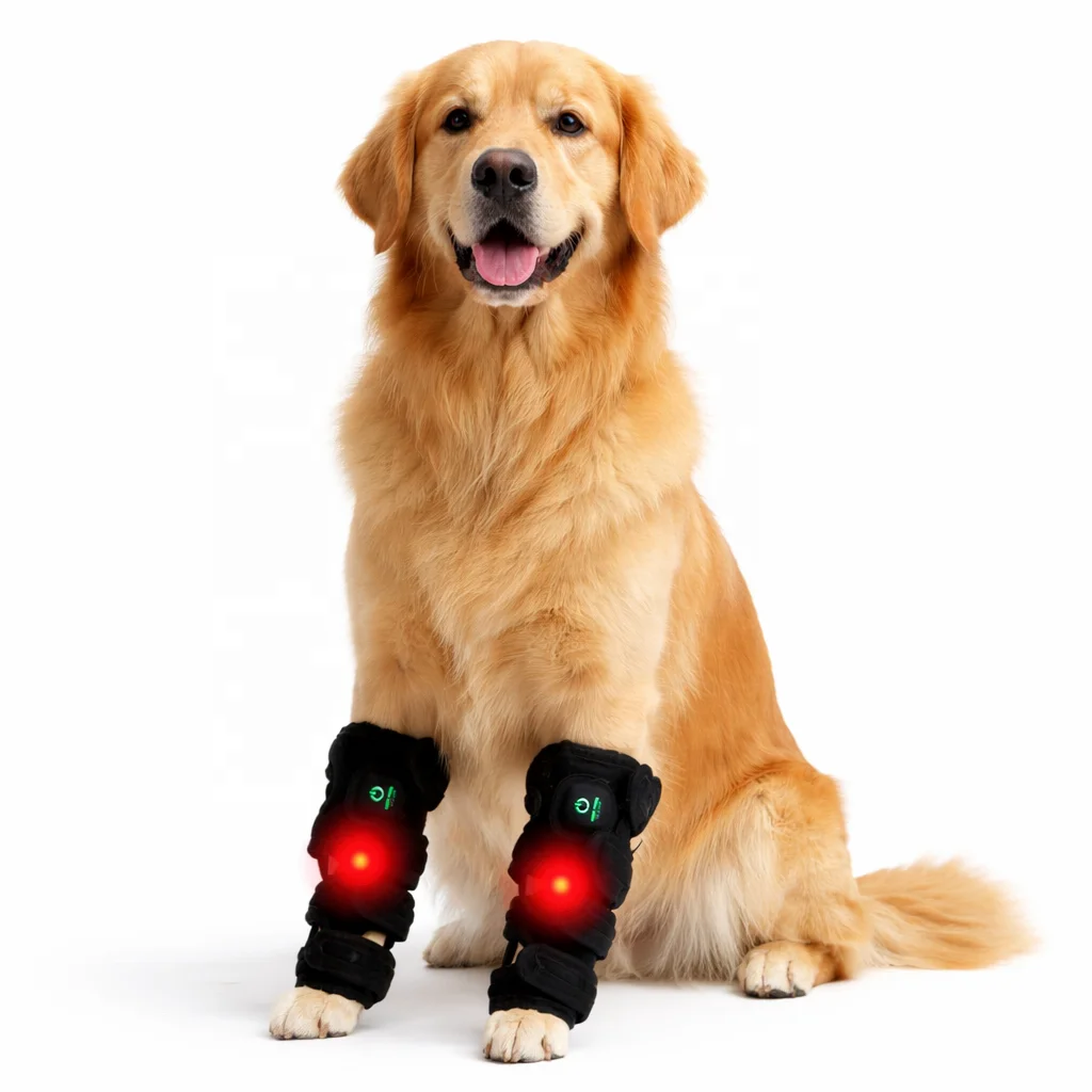 

Red Light Therapy Belt Portable Wearable Timing Device For Dogs Cats Pain Relief Tissue Repair Muscle Recovery Arthritis Care