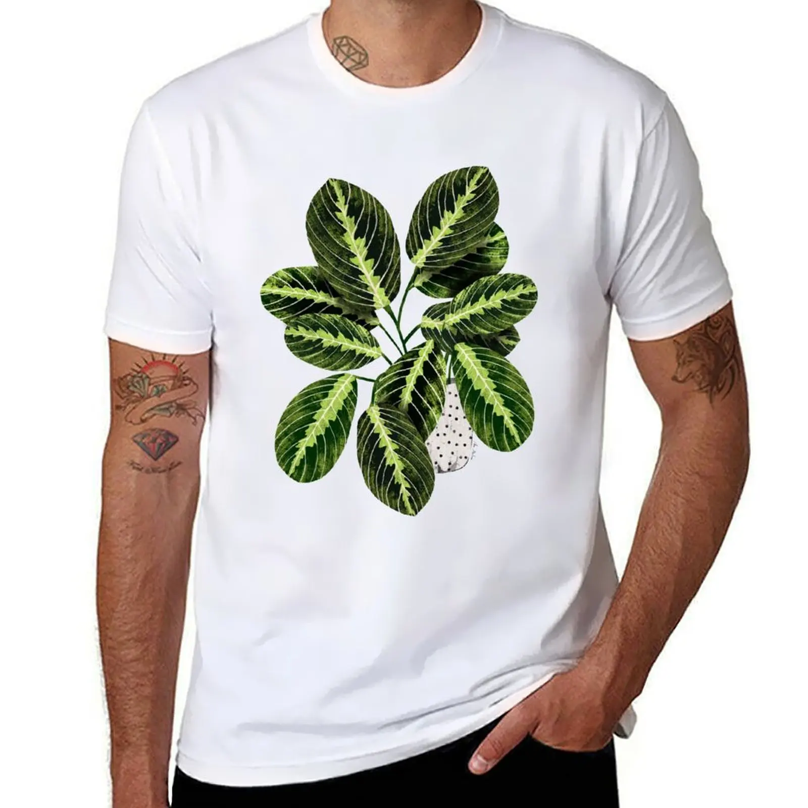 

Maranta interior Plant T-Shirt t shirt men 100% cotton luxury brand t shirt man plain T-Shirt