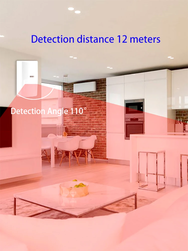 Indoor Wired Pet Friendly 12V PIR Motion Sensor Detector With Relay Output NC NO