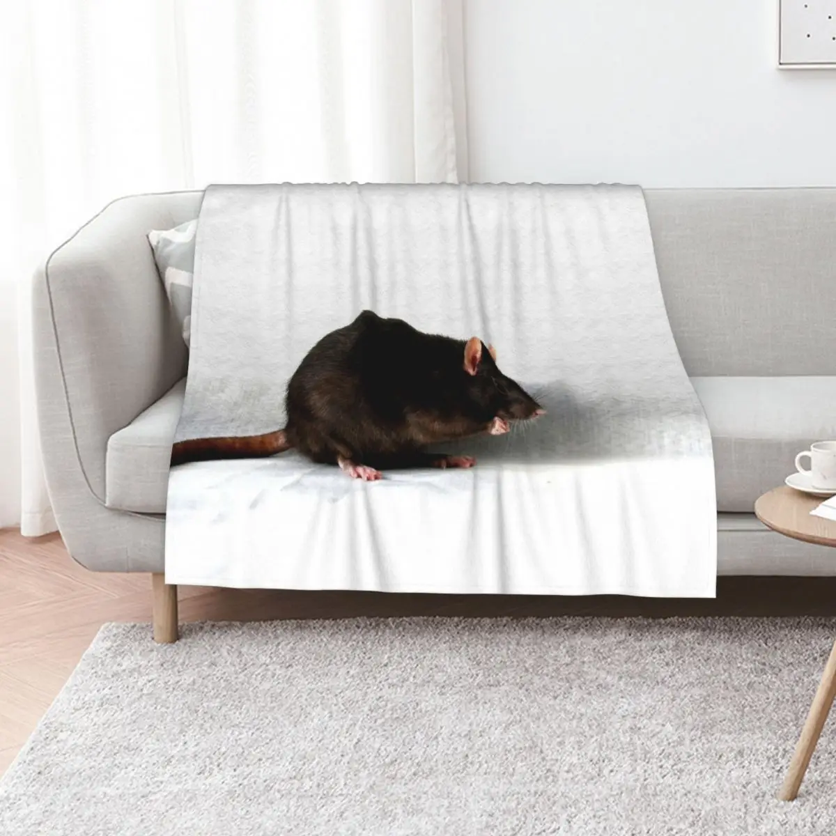 

Rat Throw Blanket Cute Plaid Plaid on the sofa Bed Blankets For Sofas Blankets