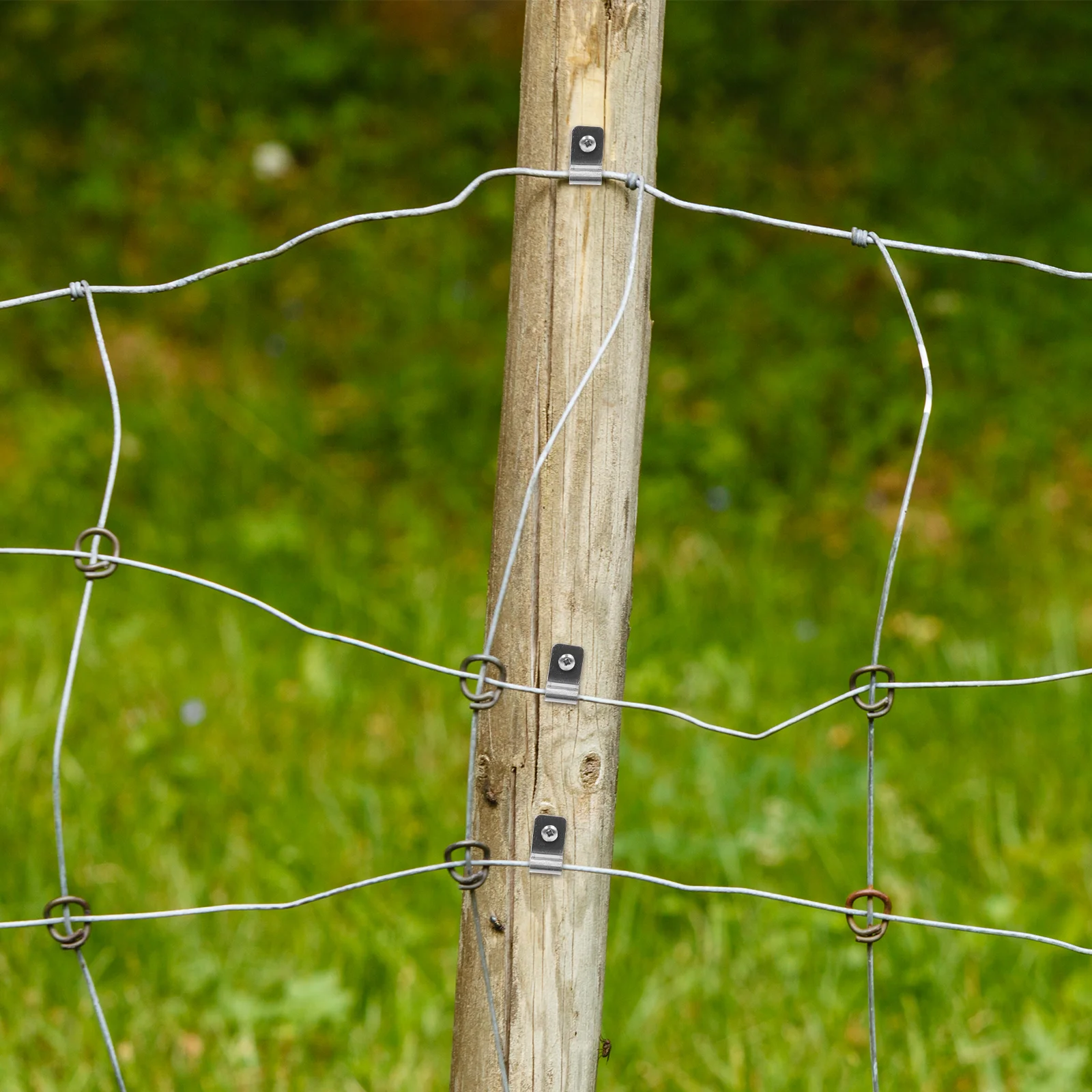 

100Pcs Heavy Duty Metal Clips 4mm Weather Resistant for Securing Livestock and Garden Fences Cable Clamps of Metal