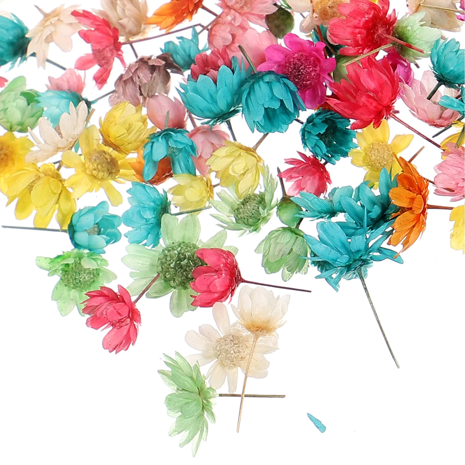 

Small Dried Flowers Crystal Gelatin Head Pink Decor Decorative Pressed Bouquets Crafts