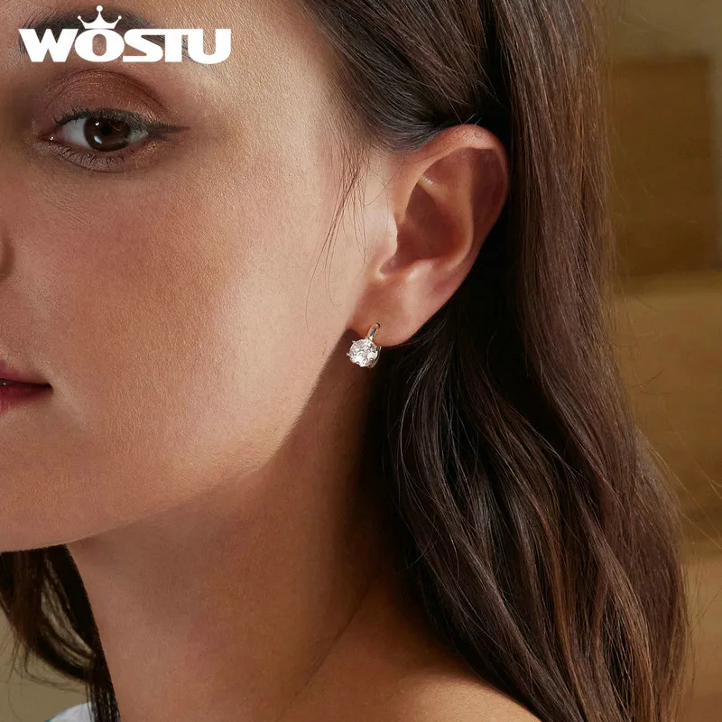 WOSTU Sparkling Weddding Jewelry Round AAA Zircon Stud Earrings For Women Classical Drop Dangle Ear Buckles Party Pendientes