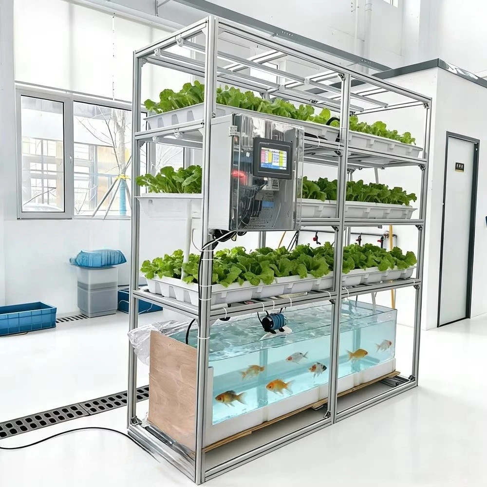 HZ-YC Balcony Fish Crop Aquaponic Soilless Cultivation Equipment PLC-controlled Smart Automatic Vegetable Hydroponic Planting