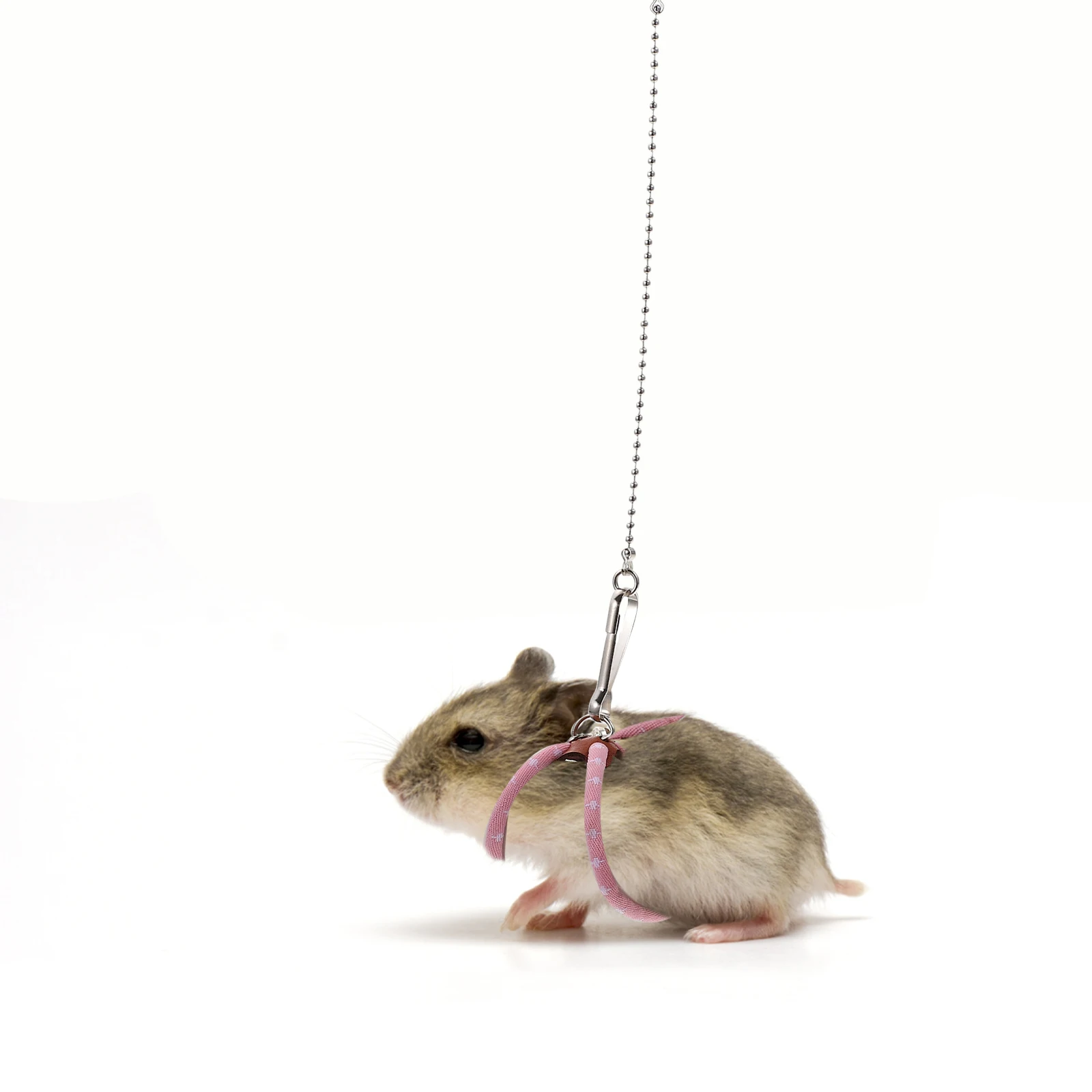 

BESPORTBLE Pet Leash Training Rope for Squirrel Hamster Guinea Pig Outdoor Walking Traction Strap Small Animals