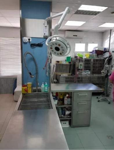 Luz de operación de techo médica veterinaria de cirugía plástica tipo colgante de gran oferta LED montada en la pared