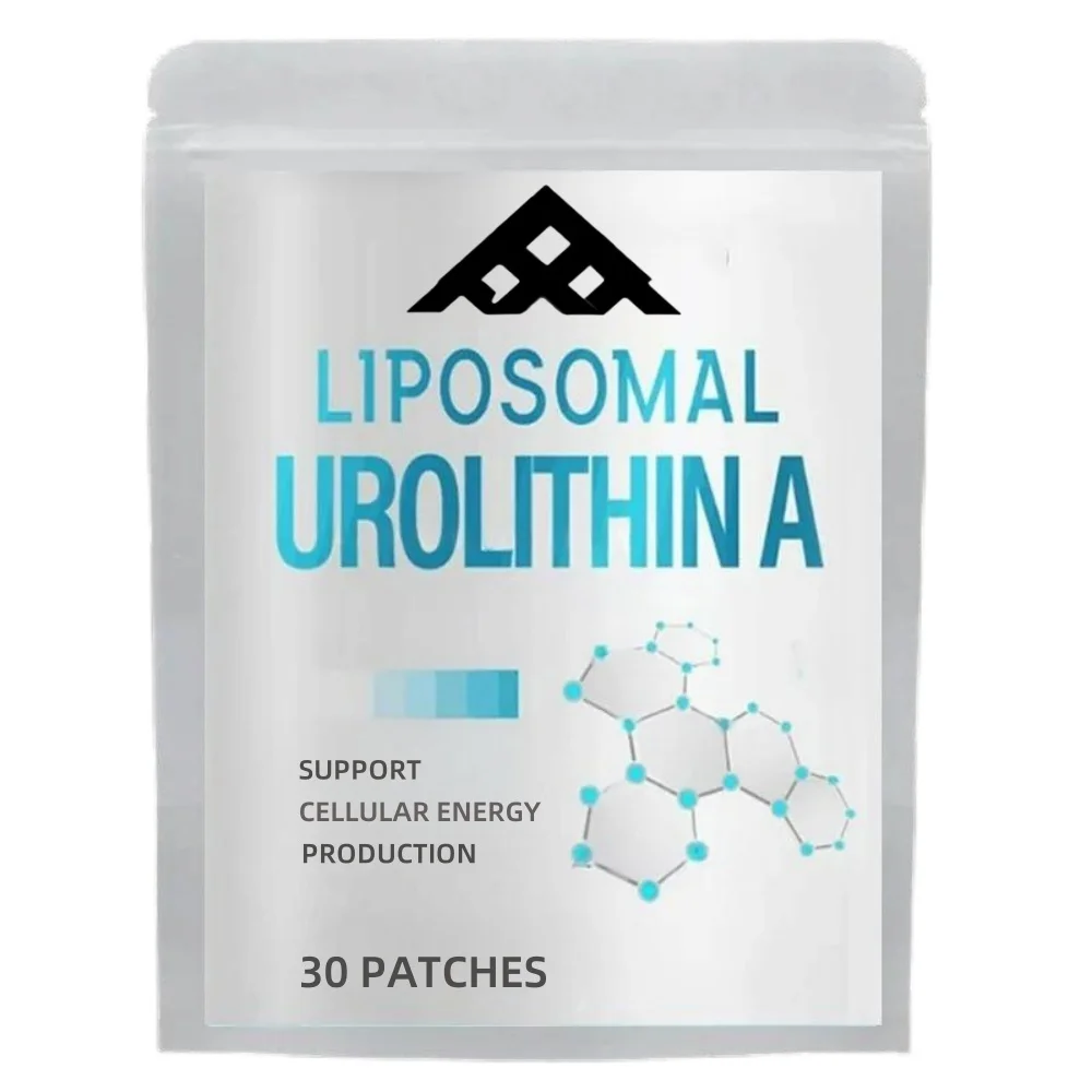 Urolithin A Transdermal Patches Powerful Antioxidants For Healthy Aging And Mitochondrial Support 30 Patches